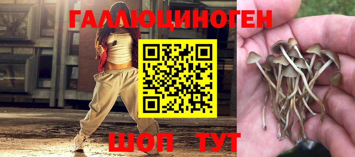Псилоцибиновые грибы MAGIC MUSHROOMS  Вход с VPN  Семилуки 